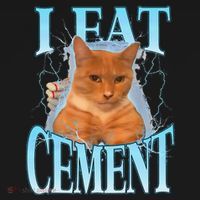 I Eat Cement Cursed Cat Funny Oddly Specific Dank Meme Visor thumb 3