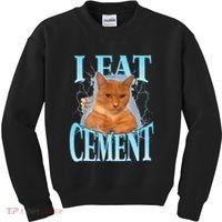 I Eat Cement Cursed Cat Funny Oddly Specific Dank Meme Kids Sweatshirt thumb 0