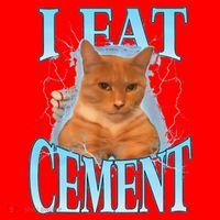 I Eat Cement Cursed Cat Funny Oddly Specific Dank Meme Santa Hat thumb 1