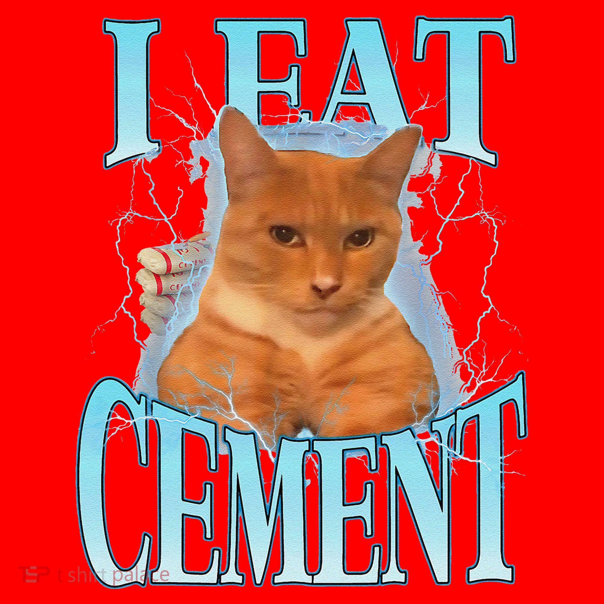 I Eat Cement Cursed Cat Funny Oddly Specific Dank Meme Santa Hat