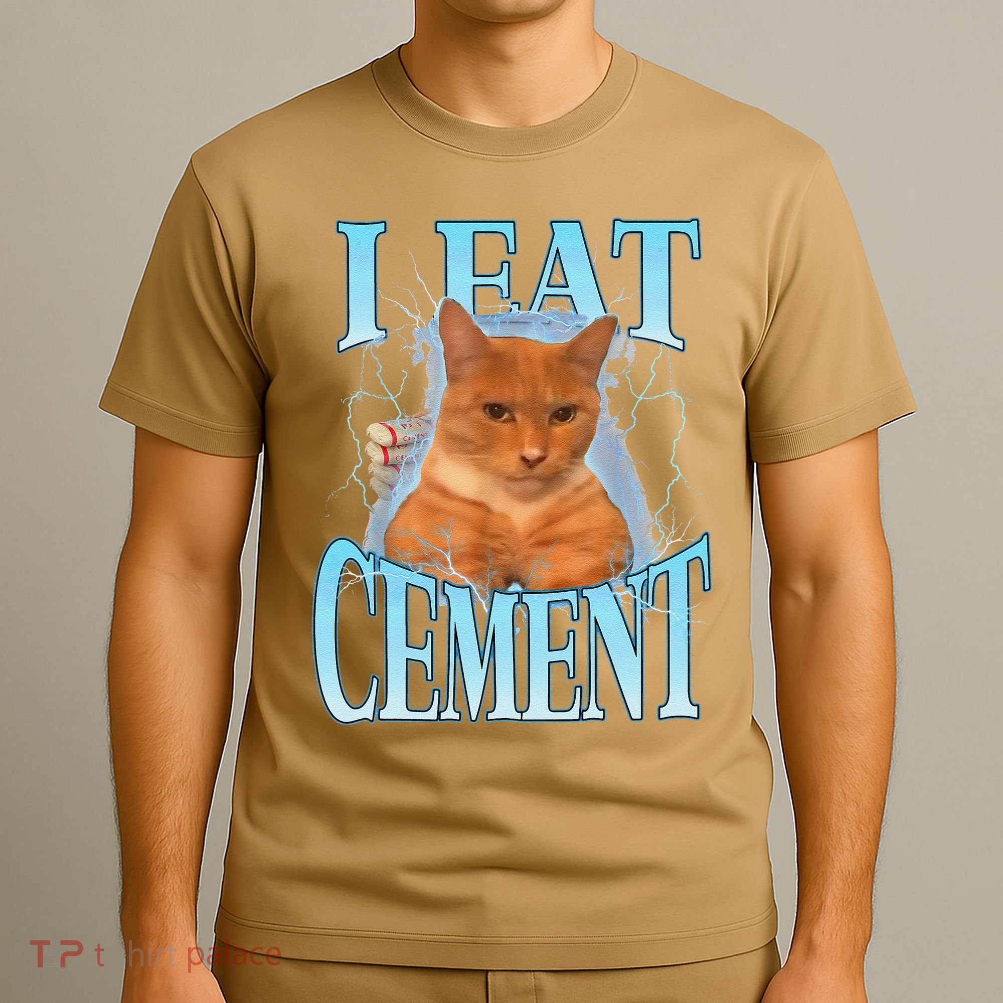 I Eat Cement Cursed Cat Funny Oddly Specific Dank Meme T-Shirt