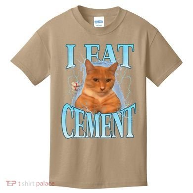 I Eat Cement Cursed Cat Funny Oddly Specific Dank Meme Kids T-Shirt