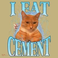 I Eat Cement Cursed Cat Funny Oddly Specific Dank Meme Kids T-Shirt thumb 2
