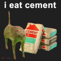 I Eat Cement Cursed Cat Oddly Specific Beanie thumb 2