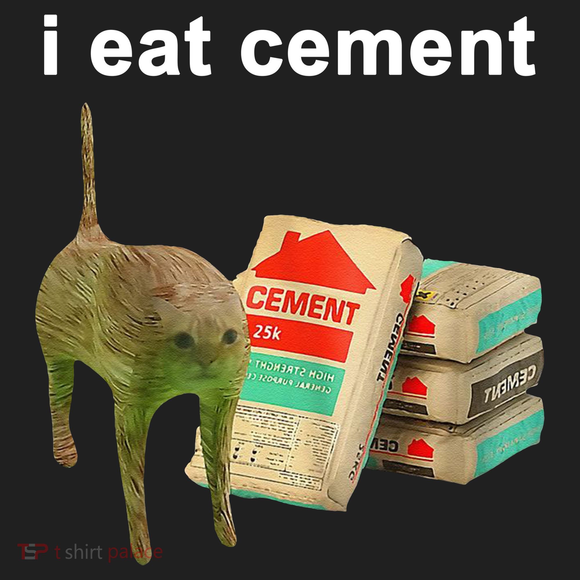 I Eat Cement Cursed Cat Oddly Specific Beanie