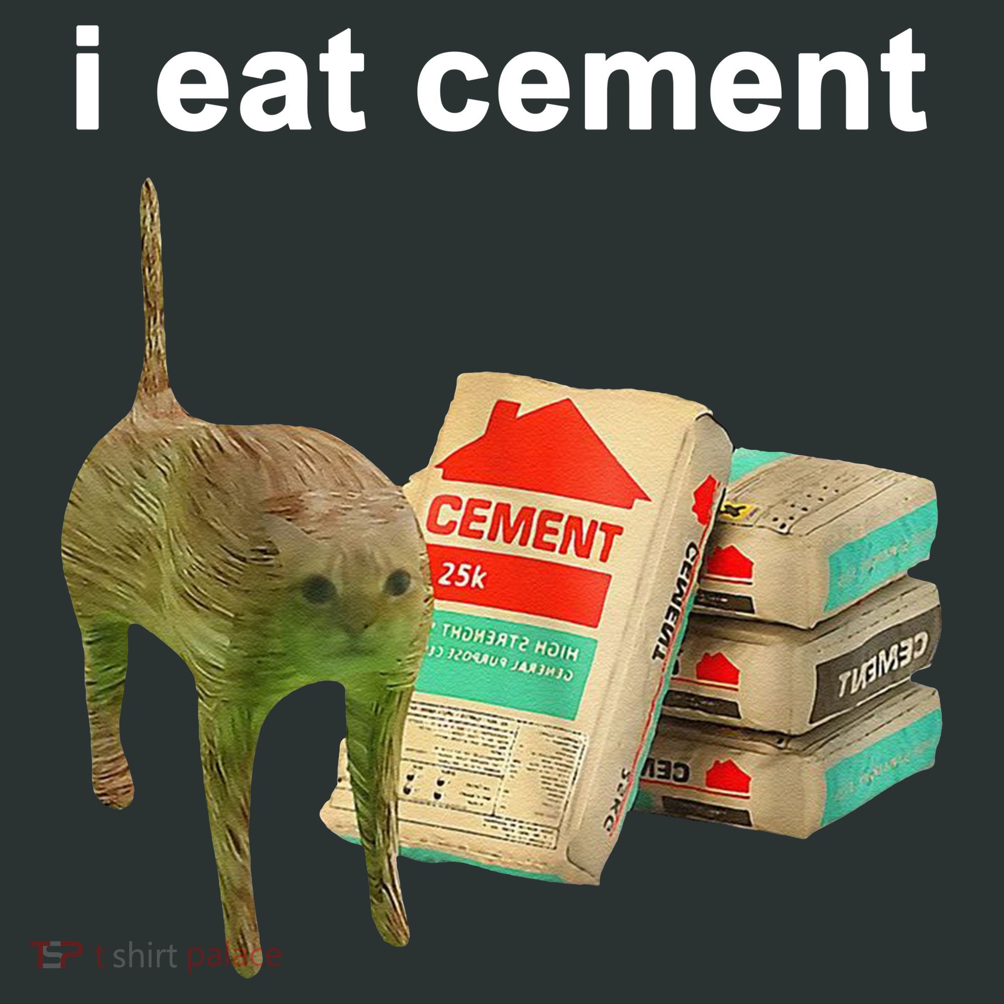 I Eat Cement Cursed Cat Oddly Specific Hoodie