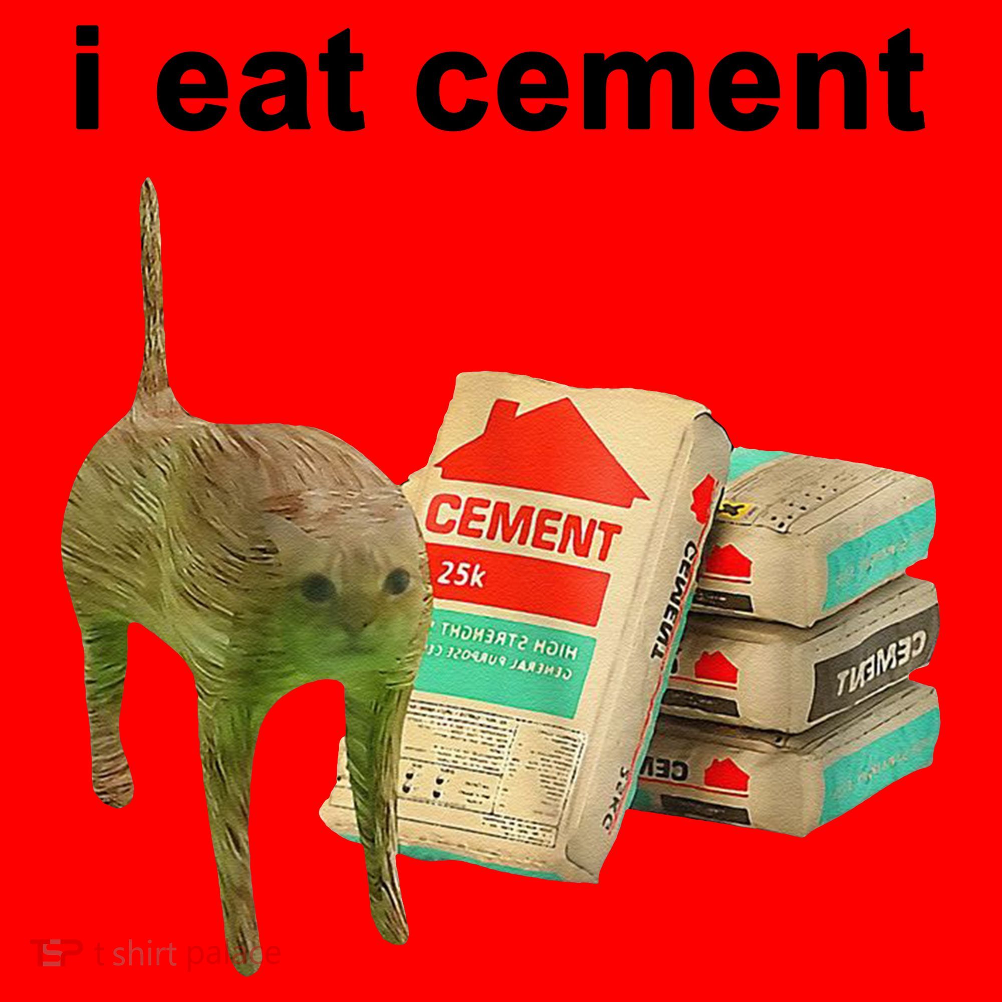 I Eat Cement Cursed Cat Oddly Specific Santa Hat