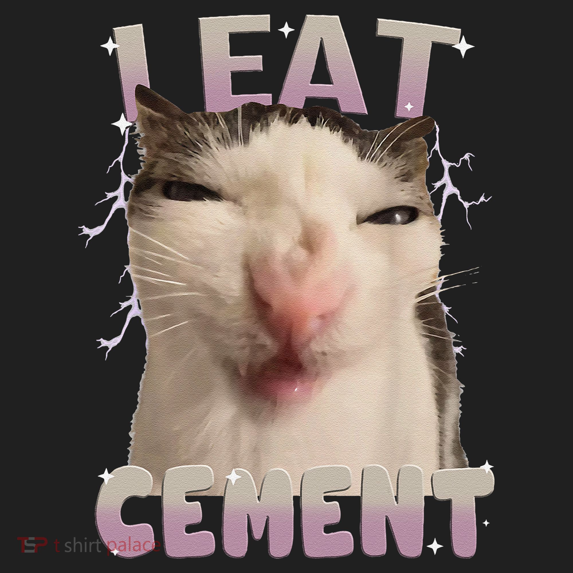 I Eat Cement Cursed Cat Funny Oddly Specific Dank Meme Beanie