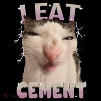 I Eat Cement Cursed Cat Funny Oddly Specific Dank Meme Women's Hoodie thumb 2