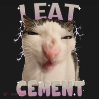 I Eat Cement Cursed Cat Funny Oddly Specific Dank Meme Kids Sweatshirt thumb 2