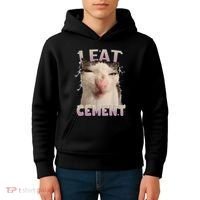 I Eat Cement Cursed Cat Funny Oddly Specific Dank Meme Kids Hoodie thumb 4