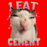 I Eat Cement Cursed Cat Funny Oddly Specific Dank Meme Santa Hat thumb 1