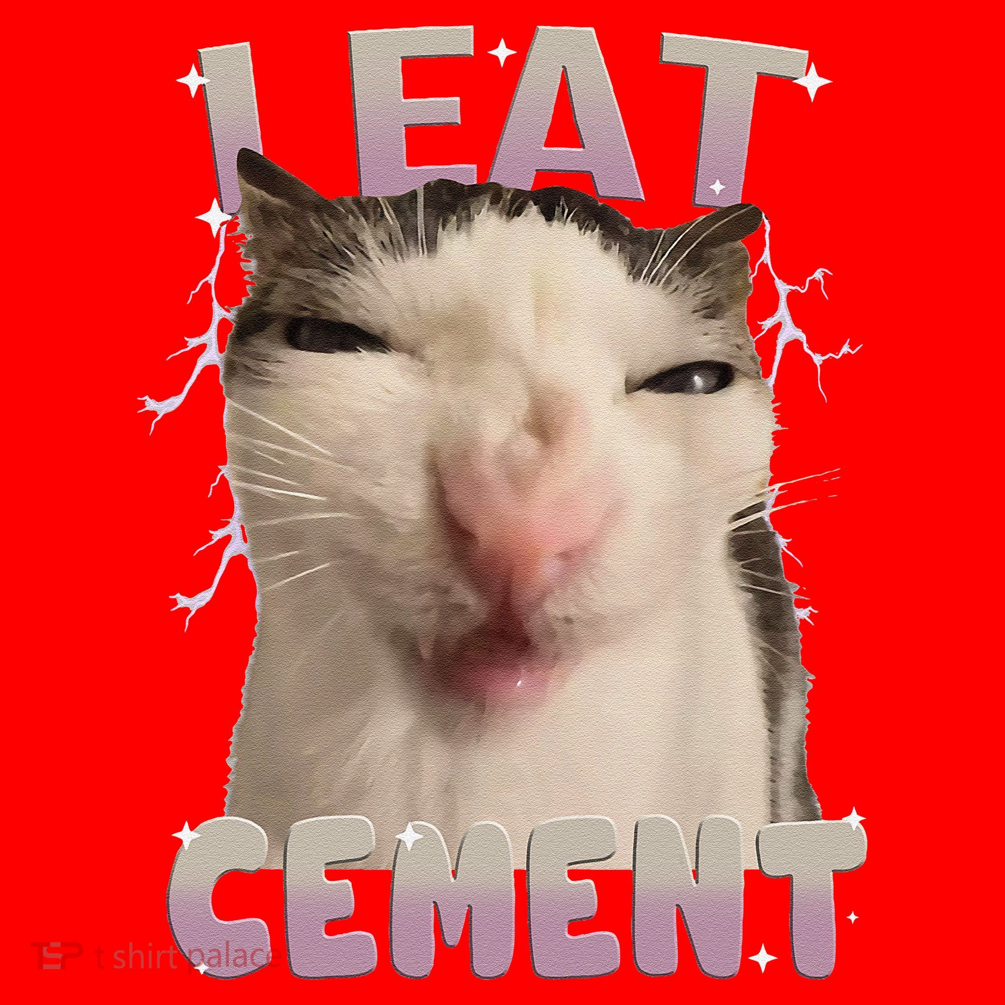 I Eat Cement Cursed Cat Funny Oddly Specific Dank Meme Santa Hat