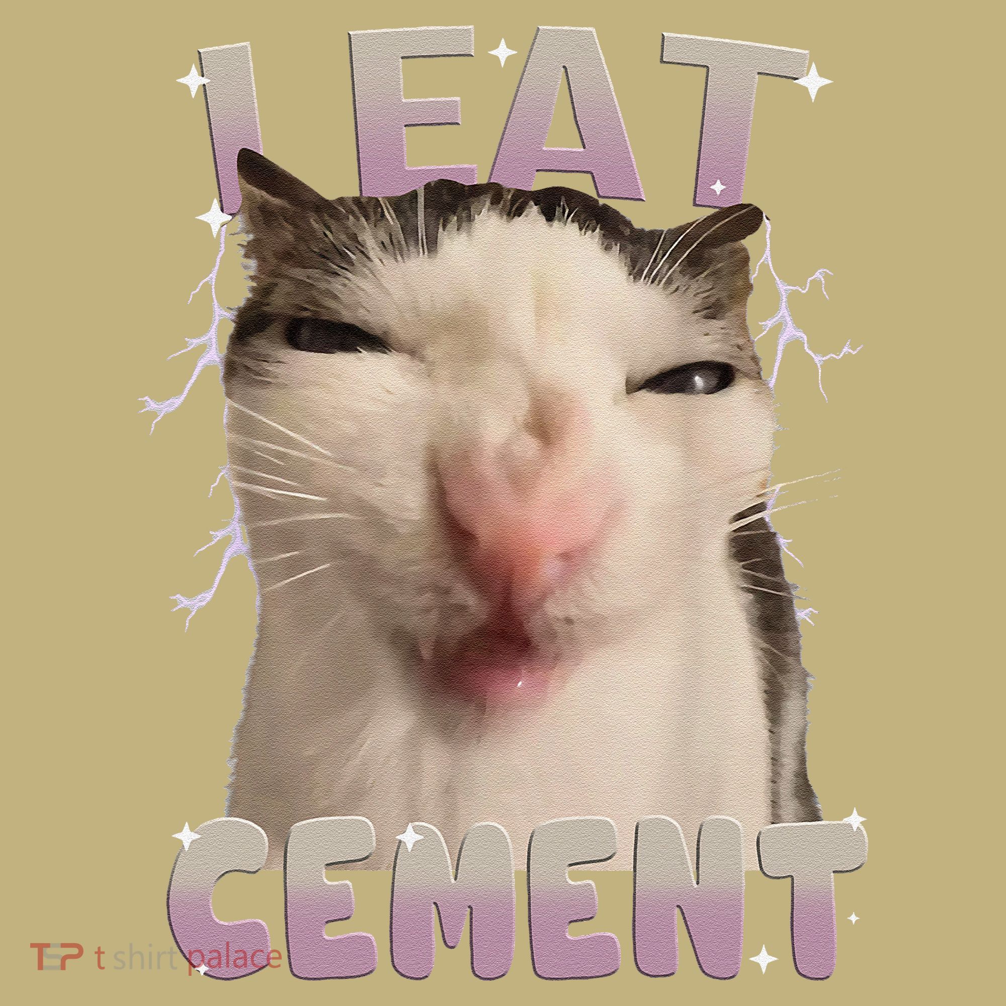 I Eat Cement Cursed Cat Funny Oddly Specific Dank Meme Hoodie