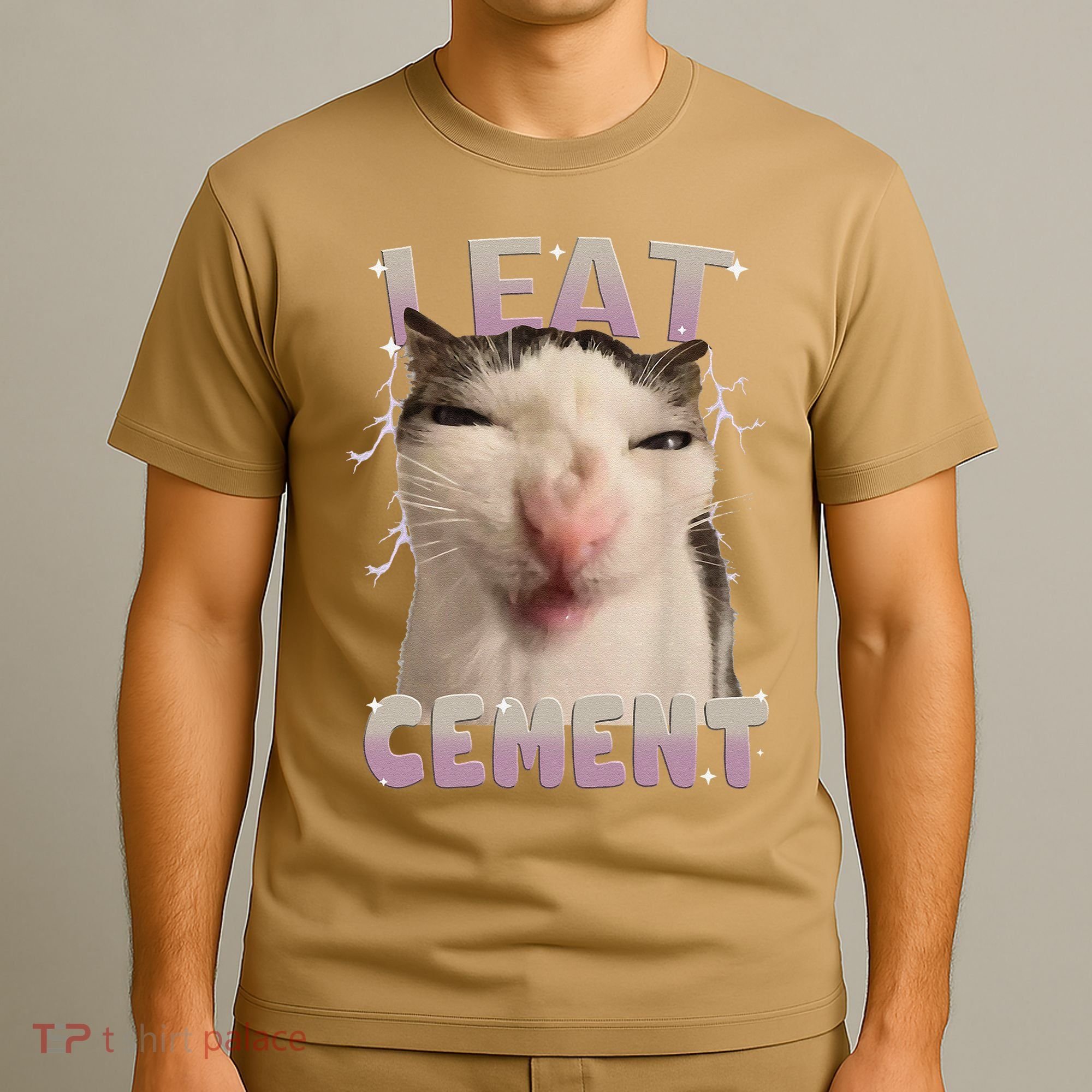 I Eat Cement Cursed Cat Funny Oddly Specific Dank Meme T-Shirt