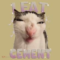 I Eat Cement Cursed Cat Funny Oddly Specific Dank Meme T-Shirt thumb 7