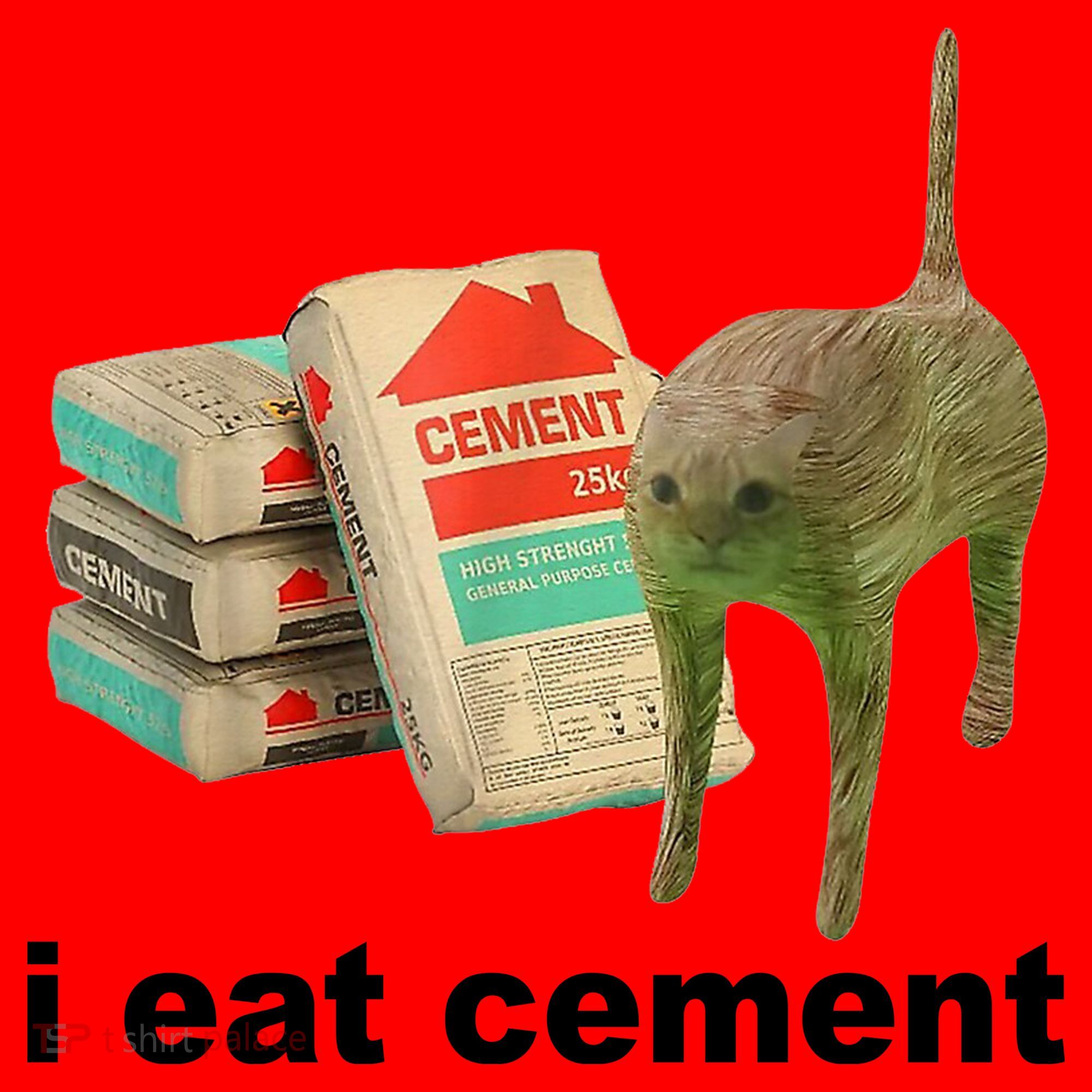 I Eat Cement Cursed Cat Funny Santa Hat