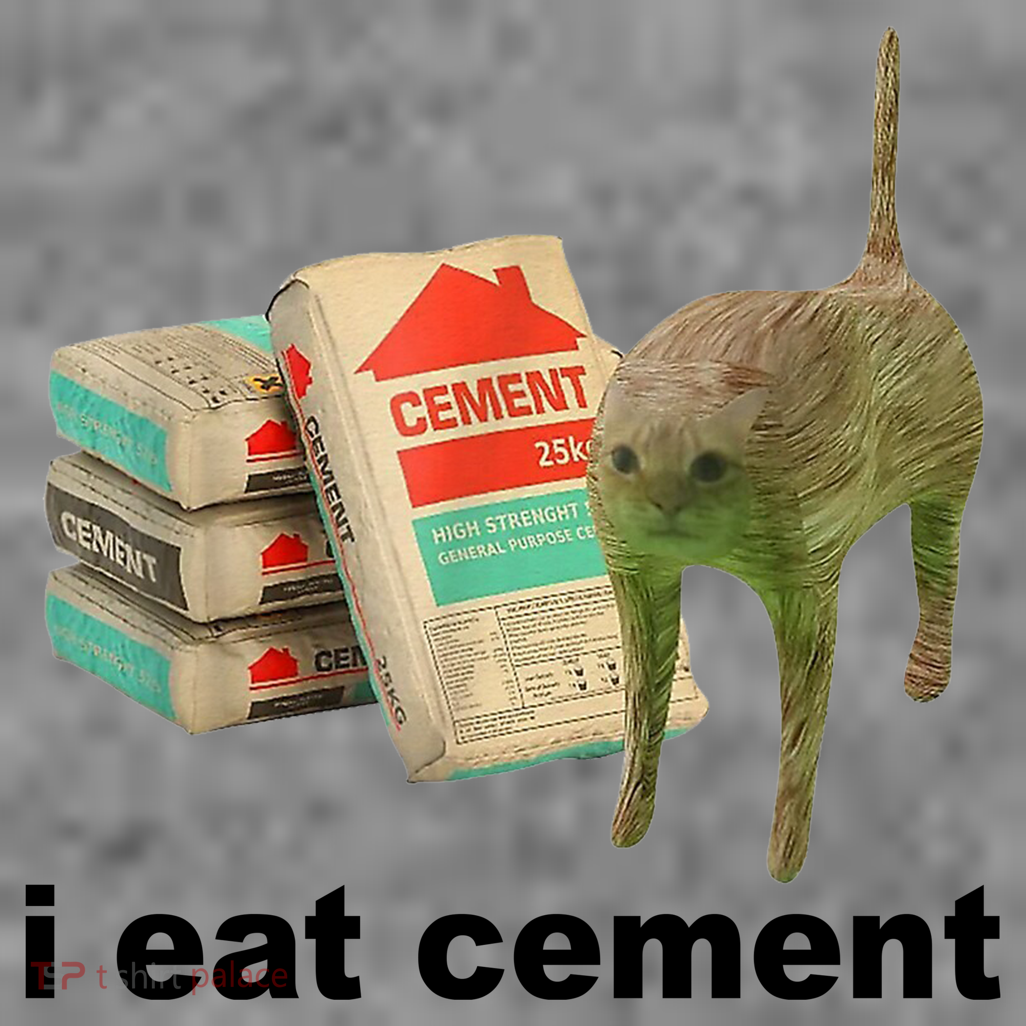 I Eat Cement Cursed Cat Funny Women's Hoodie
