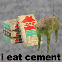I Eat Cement Cursed Cat Funny Toddler Hoodie thumb 2