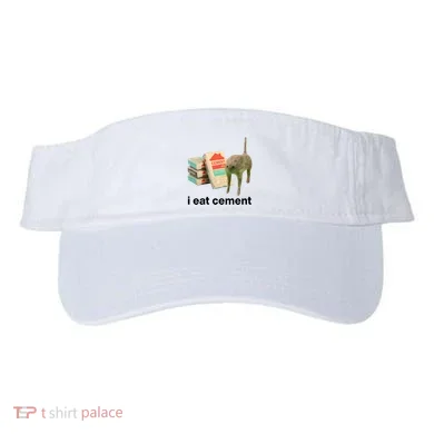 Visor