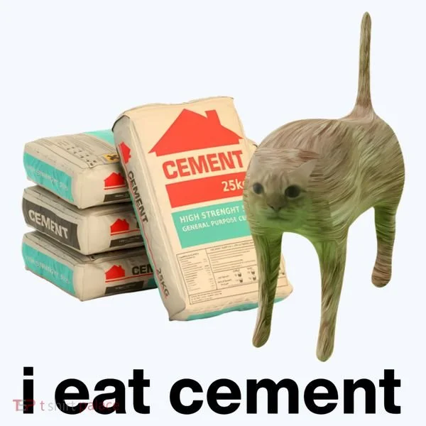I Eat Cement Cursed Cat Funny Women's T-Shirt