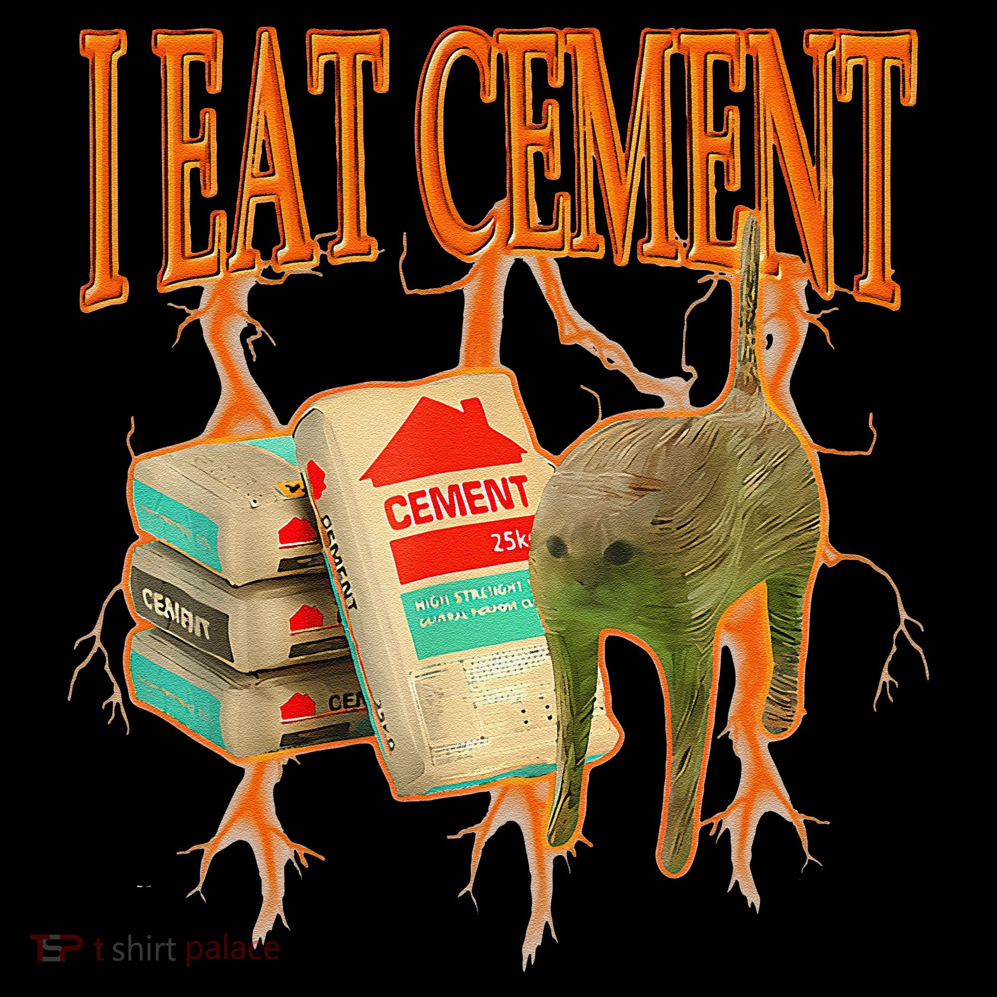 I Eat Cement Cursed Cat Funny Oddly Specific Dank Meme Women's Hoodie