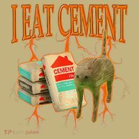 I Eat Cement Cursed Cat Funny Oddly Specific Dank Meme T-Shirt thumb 7