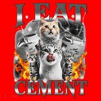 I Eat Cement Cursed Cat Funny Oddly Specific Dank Meme Cat Santa Hat thumb 1