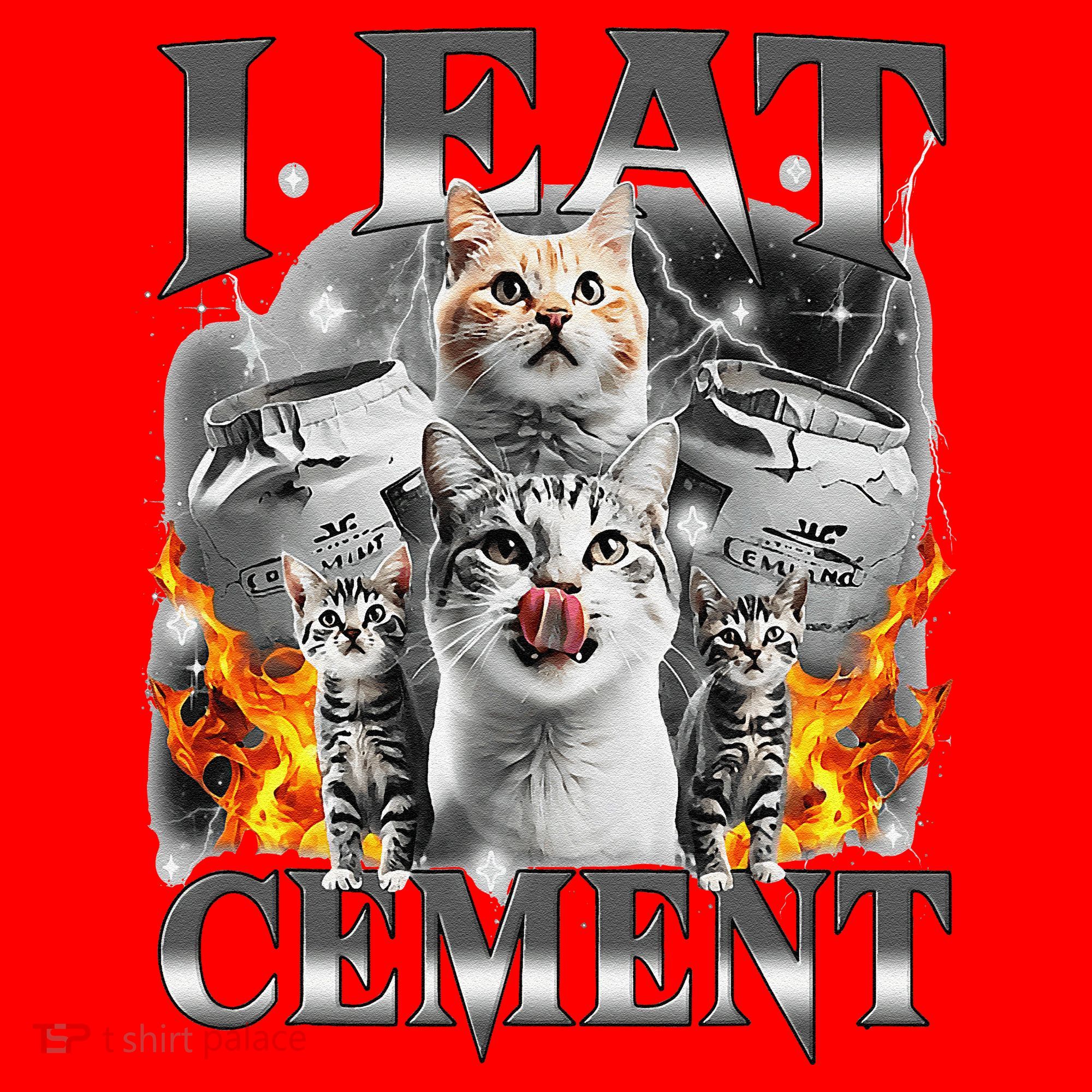 I Eat Cement Cursed Cat Funny Oddly Specific Dank Meme Cat Santa Hat