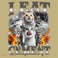 I Eat Cement Cursed Cat Funny Oddly Specific Dank Meme Cat Long Sleeve Shirt thumb 2