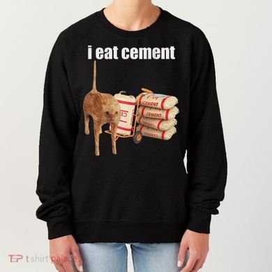 I Eat Cement Cursed Cat Funny Oddly Specific Dank Meme Women's Sweatshirt