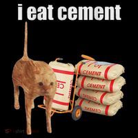 I Eat Cement Cursed Cat Funny Oddly Specific Dank Meme Women's Hoodie thumb 2