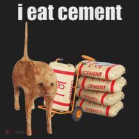 I Eat Cement Cursed Cat Funny Oddly Specific Dank Meme Tumbler thumb 3