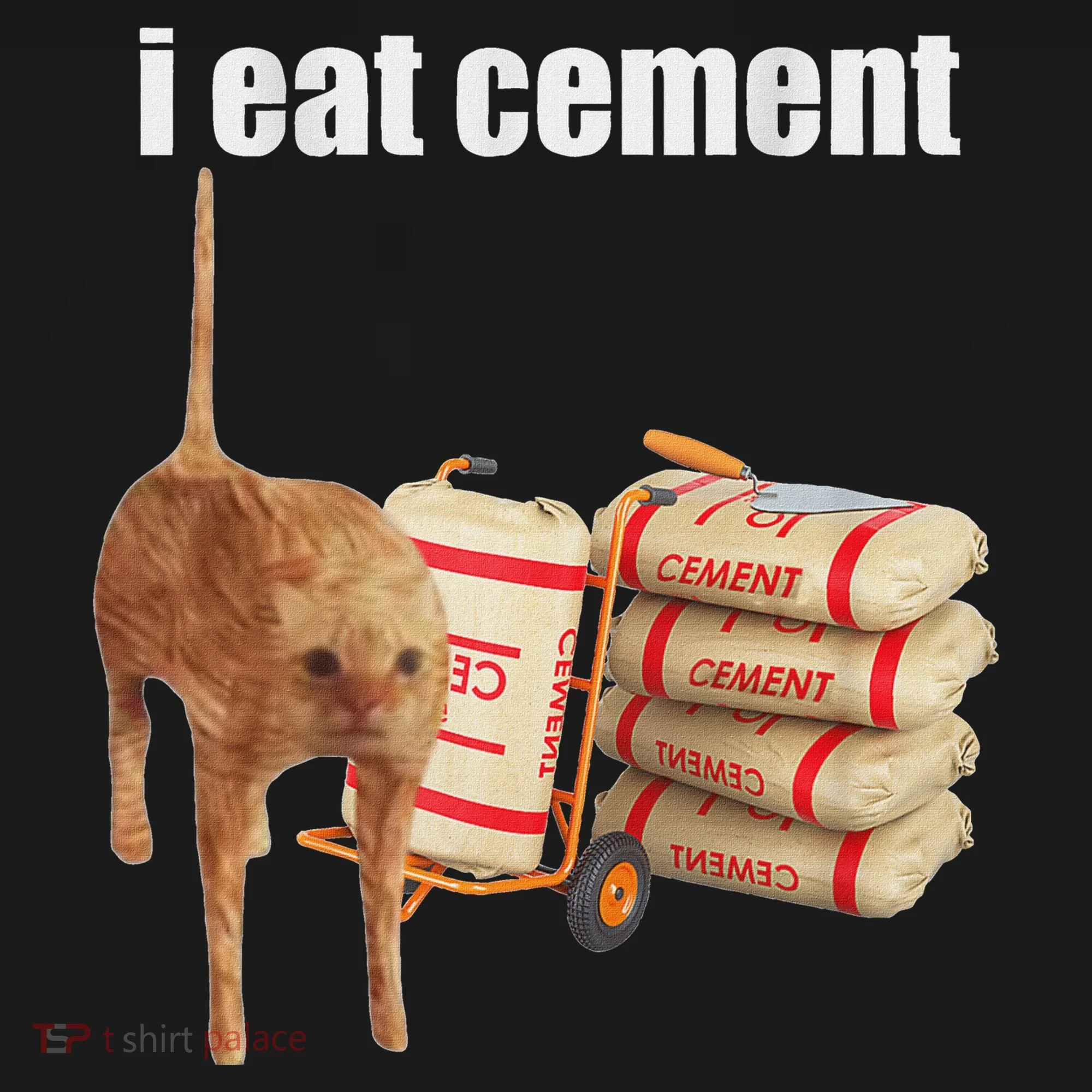 I Eat Cement Cursed Cat Funny Oddly Specific Dank Meme Tank Top