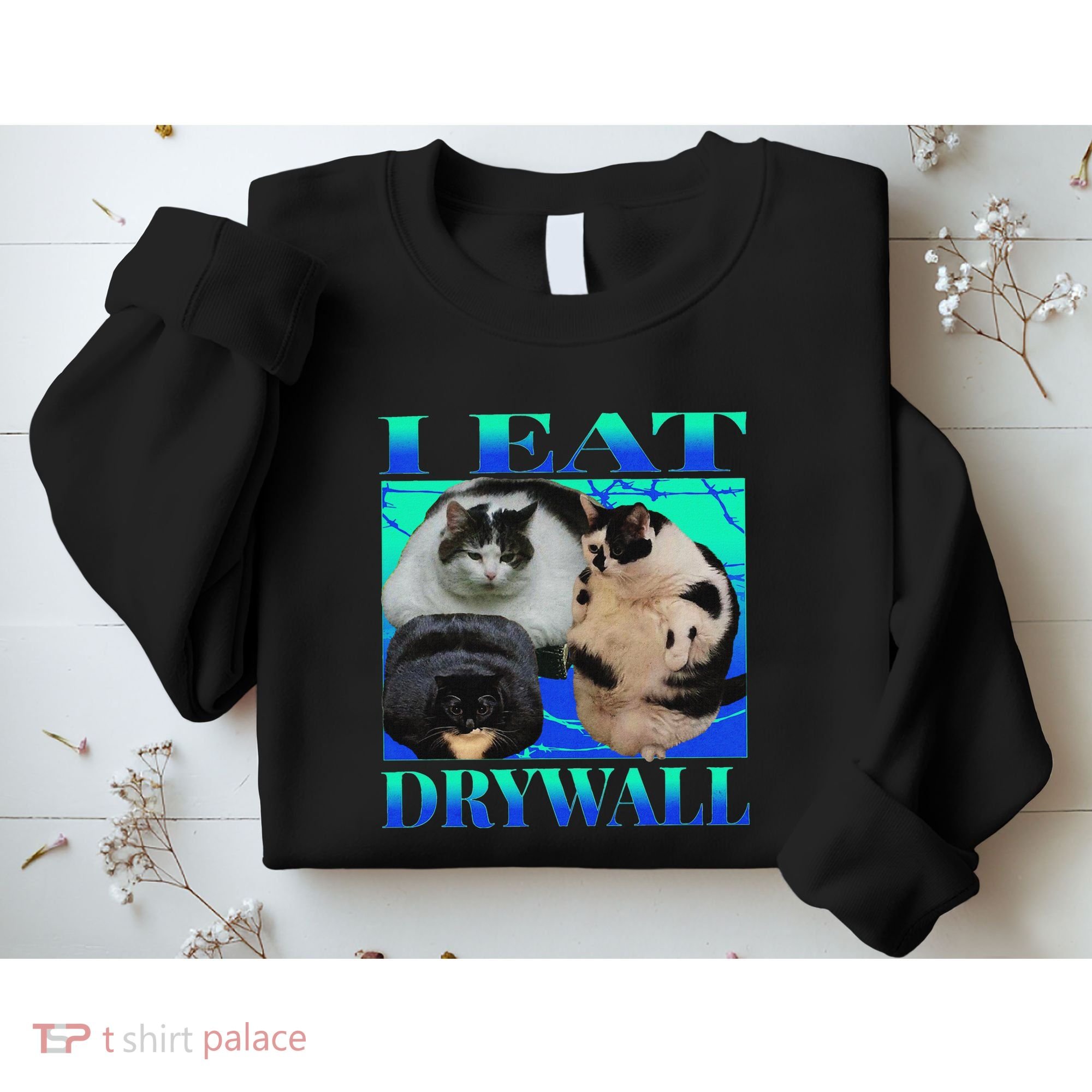 I Eat Drywall Funny Fat Cats Funny Hard Cat Silly Meme Sweatshirt
