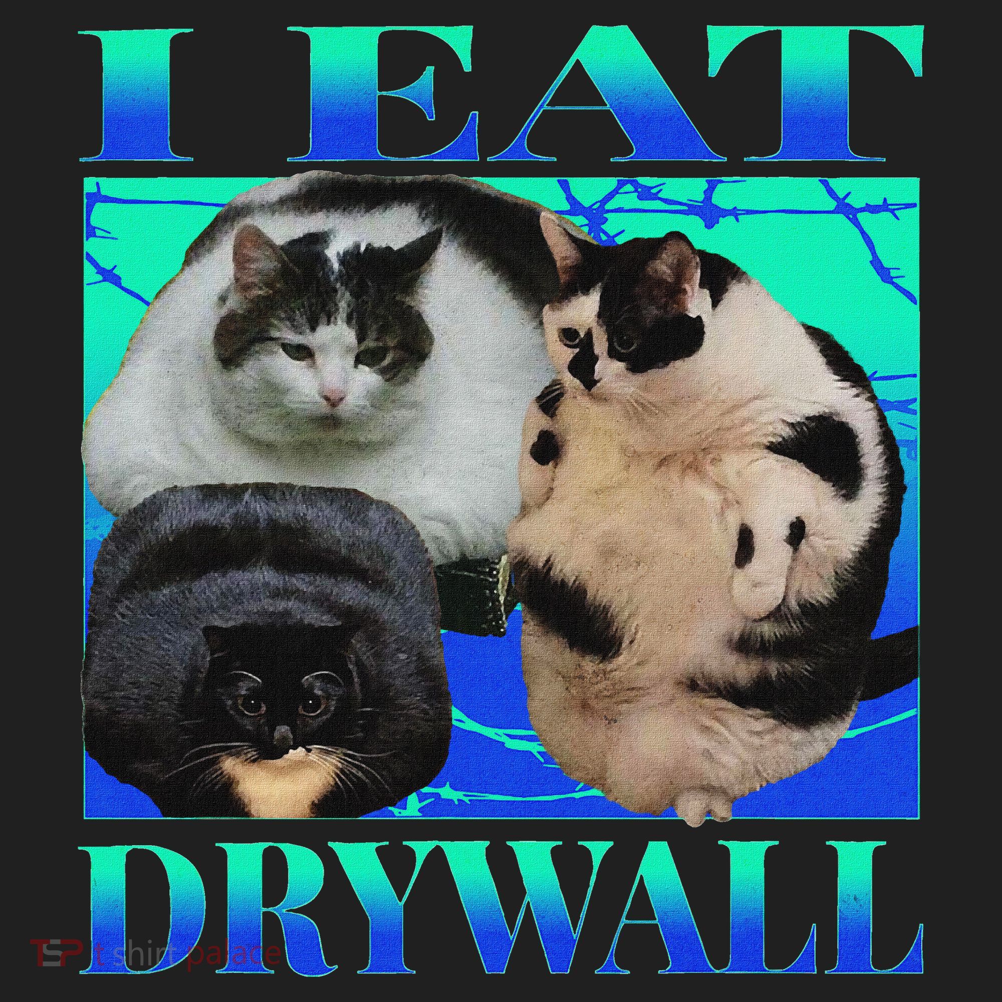 I Eat Drywall Funny Fat Cats Funny Hard Cat Silly Meme Beanie