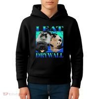 I Eat Drywall Funny Fat Cats Funny Hard Cat Silly Meme Kids Hoodie thumb 4