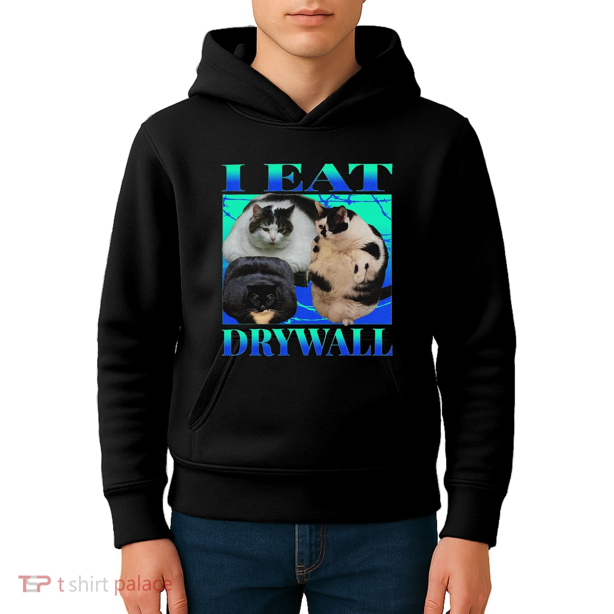 I Eat Drywall Funny Fat Cats Funny Hard Cat Silly Meme Kids Hoodie