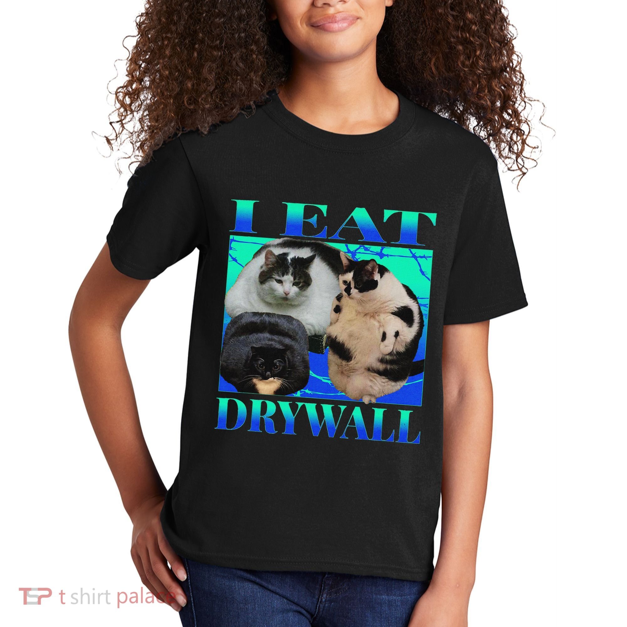 I Eat Drywall Funny Fat Cats Funny Hard Cat Silly Meme Kids T-Shirt