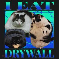 I Eat Drywall Funny Fat Cats Funny Hard Cat Silly Meme Kids T-Shirt thumb 4