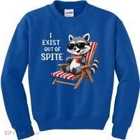 I Exist Out Of Spite Raccoon Sunglasses Kids Sweatshirt thumb 0