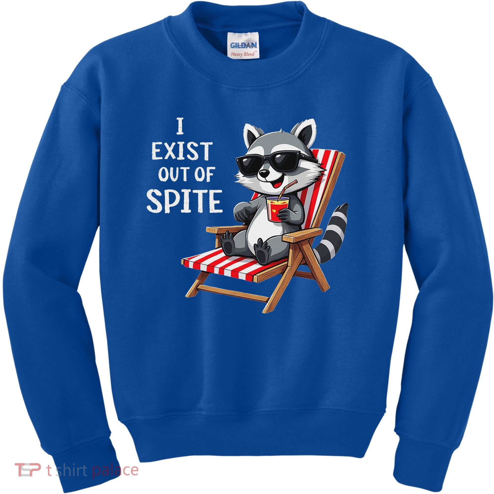 I Exist Out Of Spite Raccoon Sunglasses Kids Sweatshirt