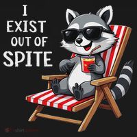 I Exist Out Of Spite Funny Raccoon Sunglasses Women's Hoodie thumb 2