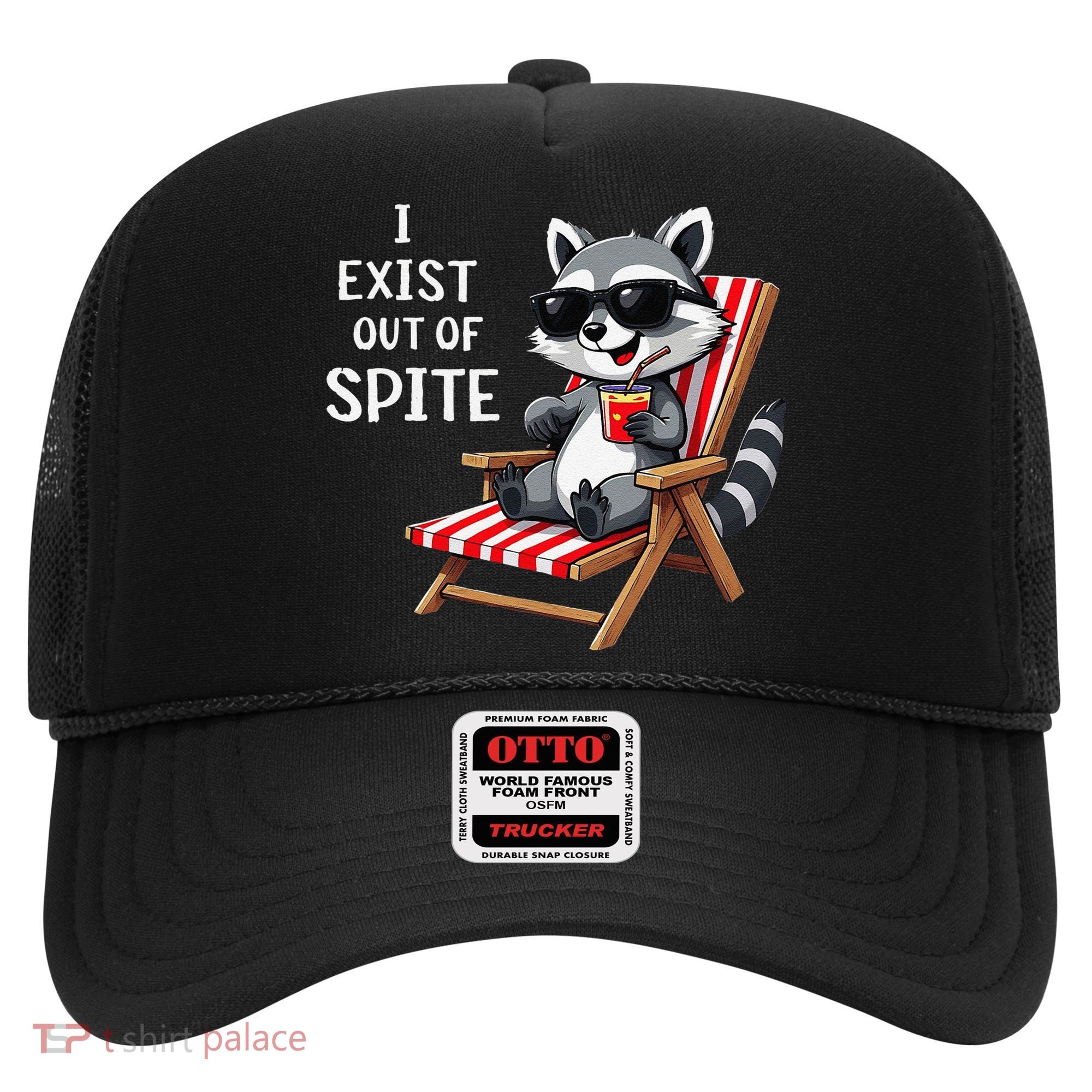 I Exist Out Of Spite Funny Raccoon Sunglasses Gift Hat
