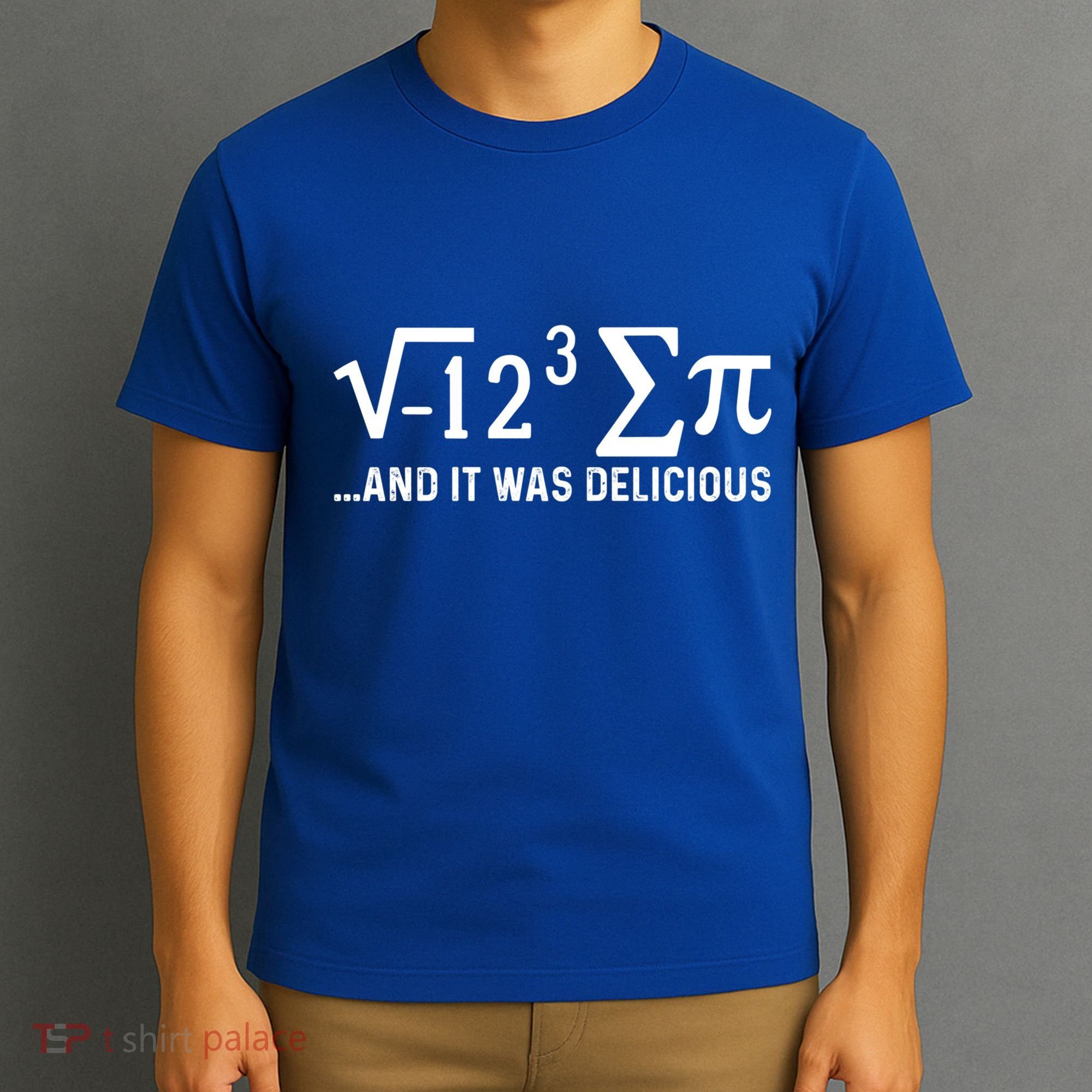 I Eight Sum Pi It Was Delicious Math Pi Funny Mathematics Great Gift T-Shirt