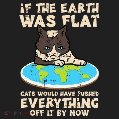 If Earth Was Flat Cat Pushed Everything Beanie