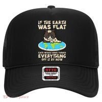 If Earth Was Flat Cat Pushed Everything Hat thumb 0