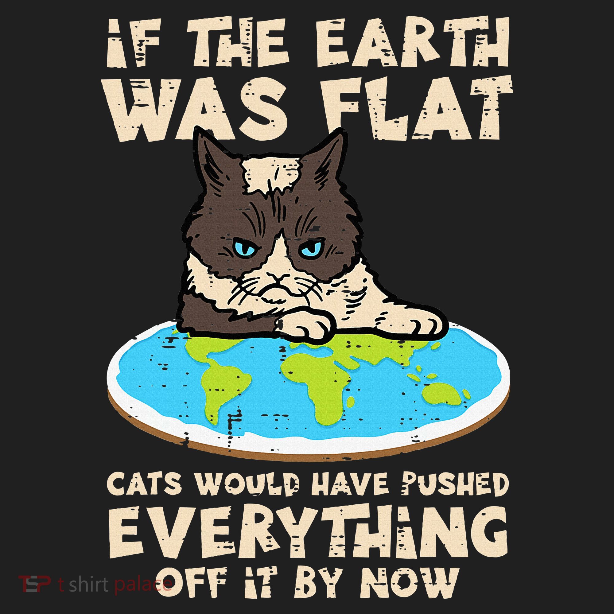 If Earth Was Flat Cat Pushed Everything Hat