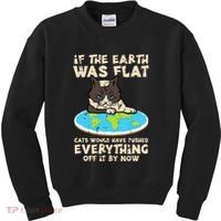 If Earth Was Flat Cat Pushed Everything Kids Sweatshirt thumb 0