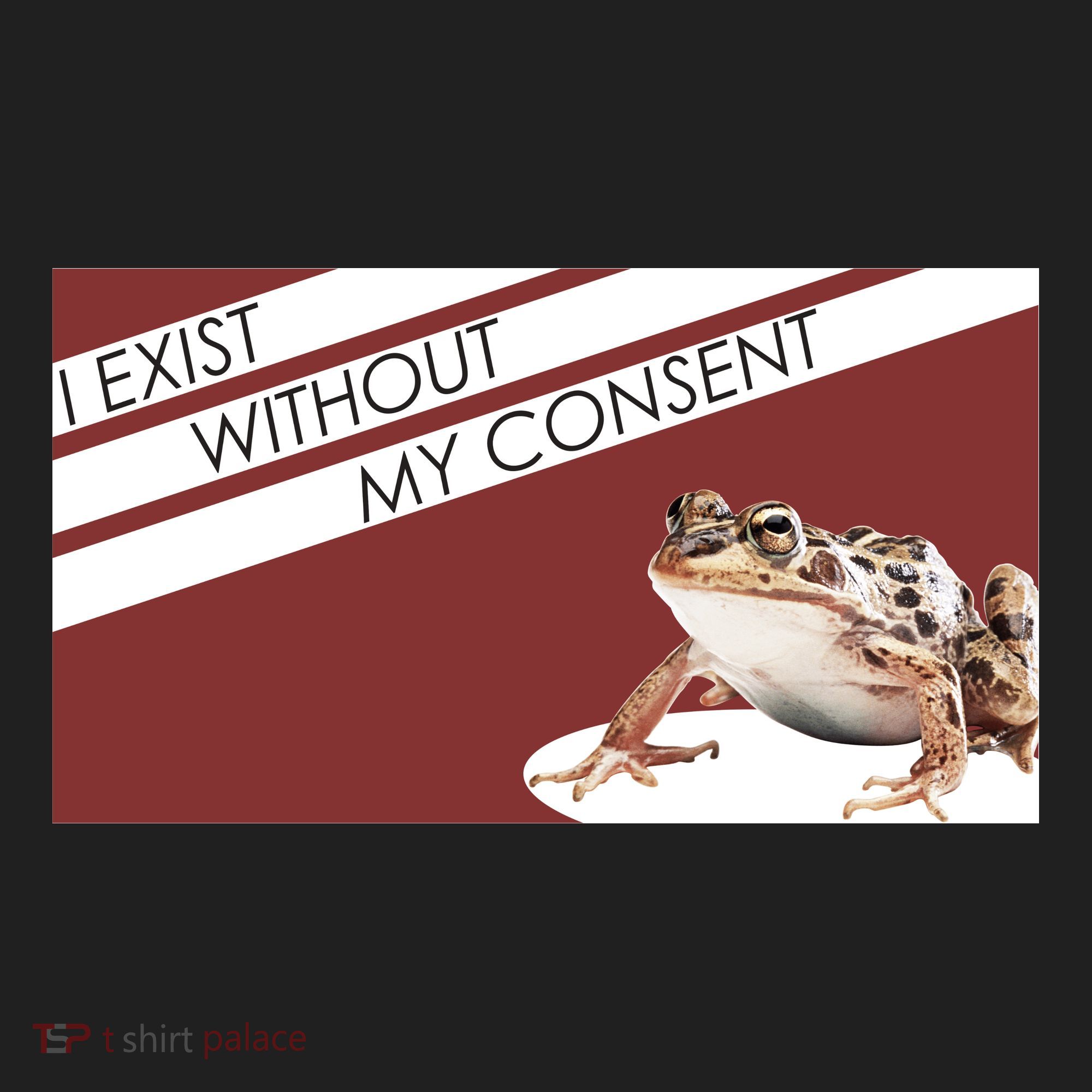 I Exist Without My Consent Funny Meme Frog Beanie